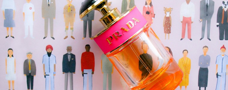 prada candy