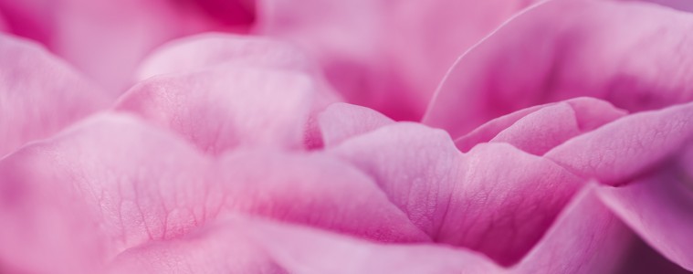 Dior: The Quest For Essences