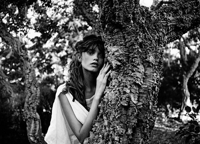 karl lagerfeld paris