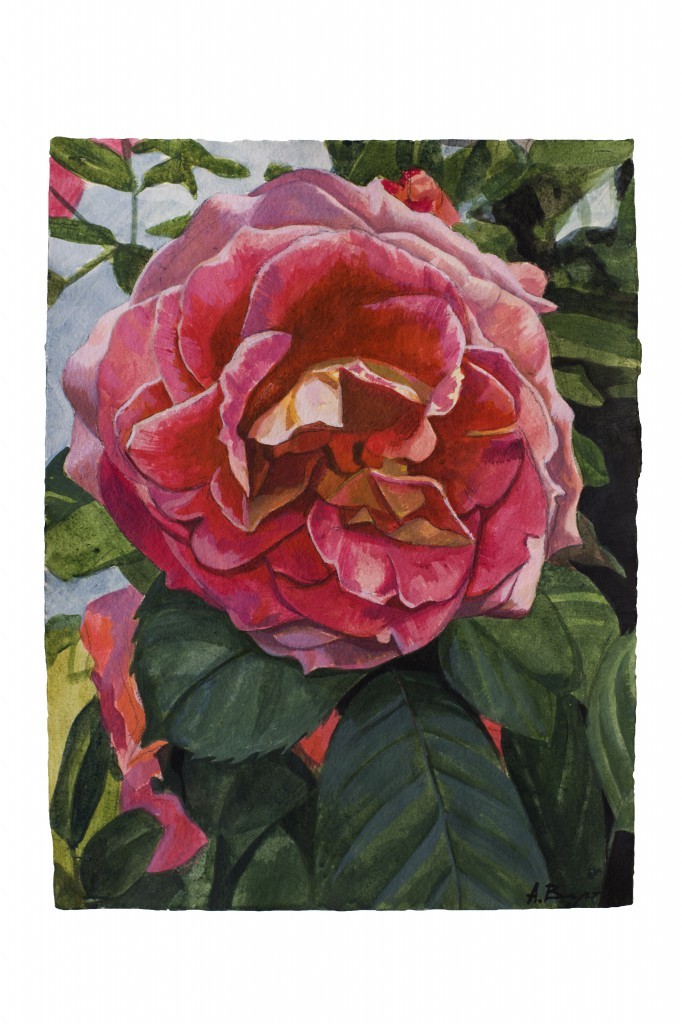 Aleksandra_Vertinskaya_Classic_Roses_6-682x1024