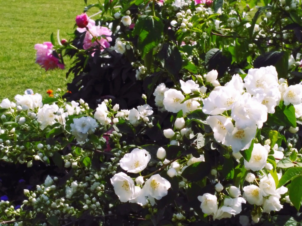 Екатерининский Парк