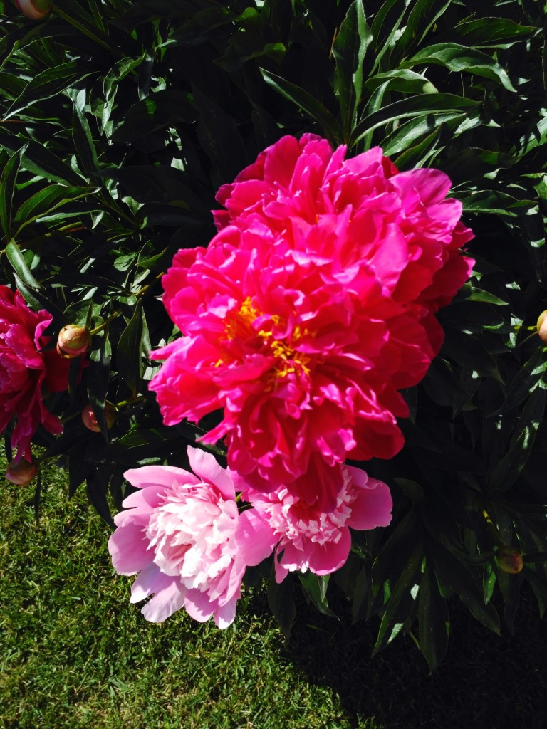 Екатерининский Парк