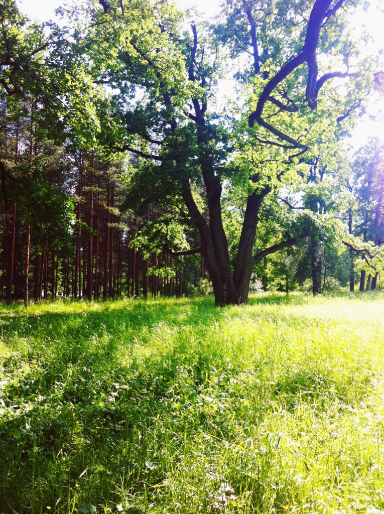 Екатерининский Парк