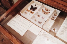 дом набокова санкт-петербург