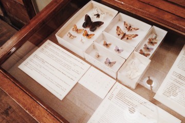 дом набокова санкт-петербург