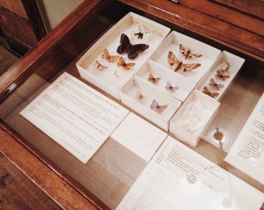 дом набокова санкт-петербург